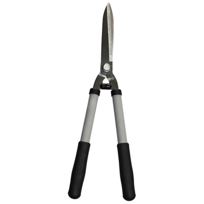 hYX02125-